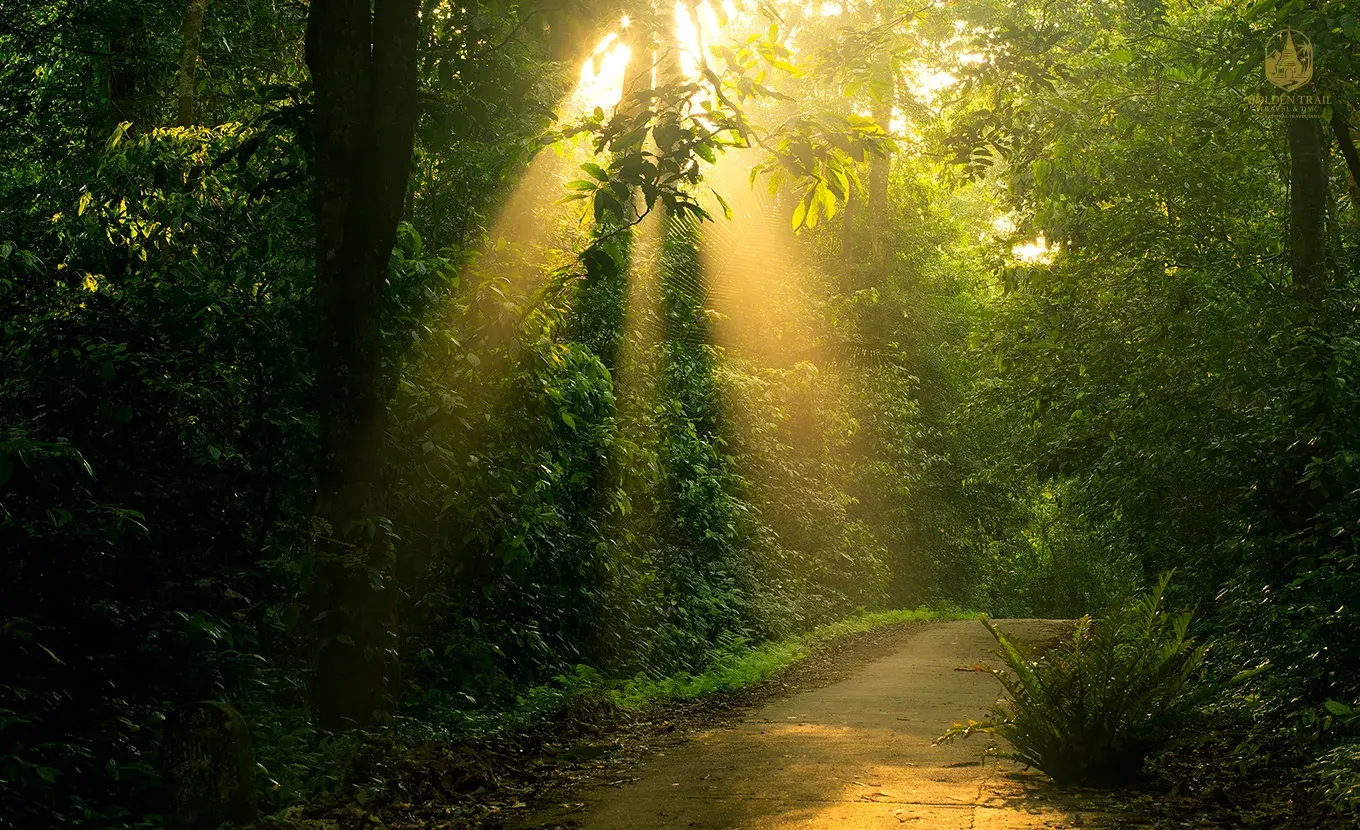 6-Day Red River Delta Family Adventure: Hanoi, Ninh Binh & Lan Ha Bay Cruise